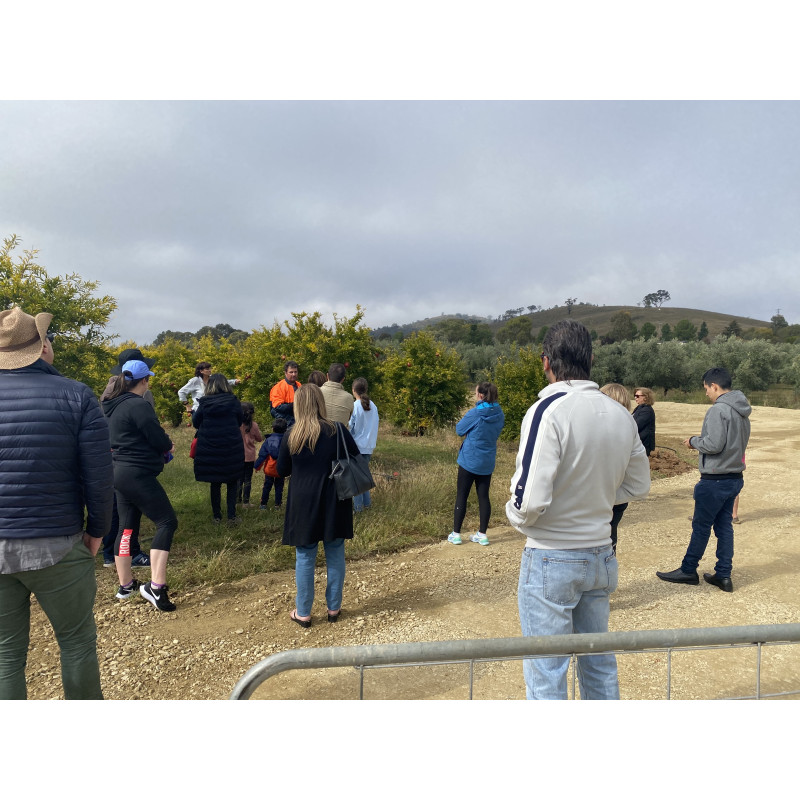 Guided Farm Walk