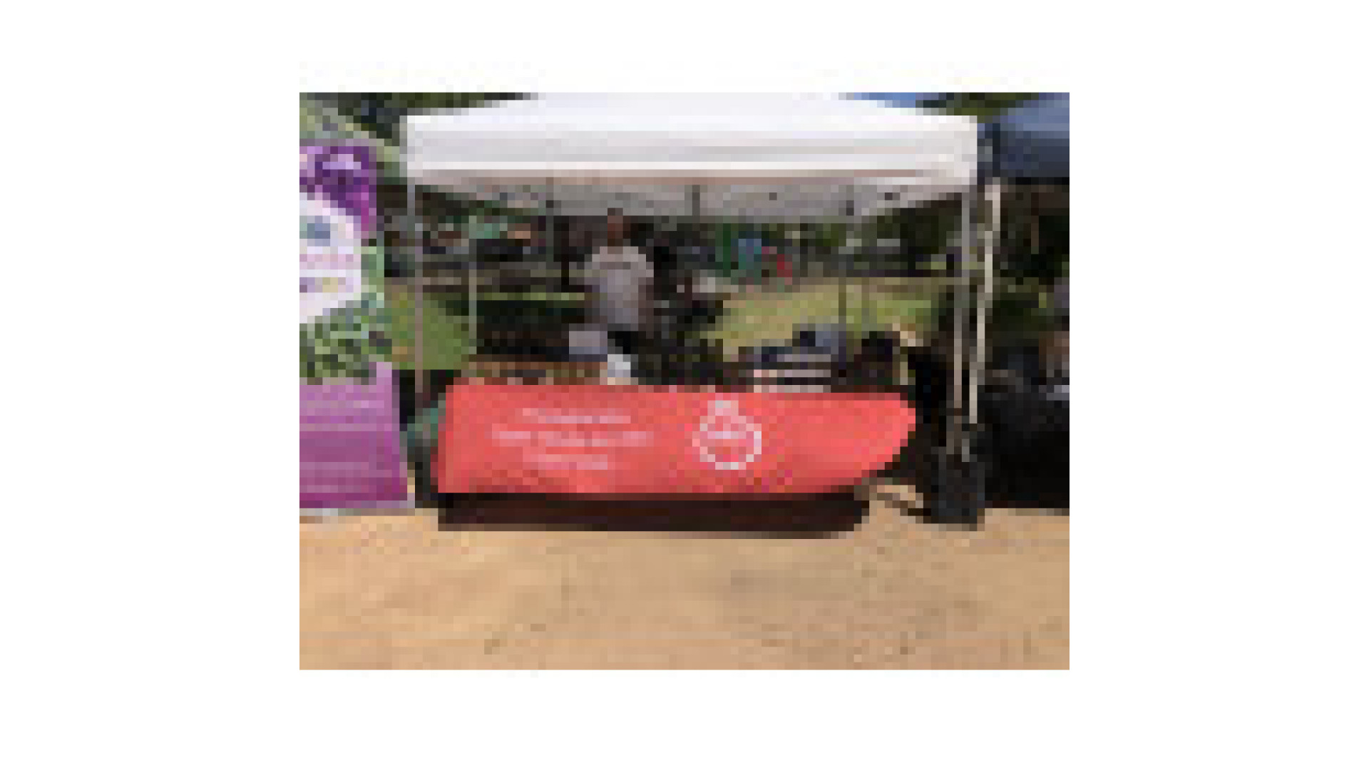 St John's Anglican Church Markets