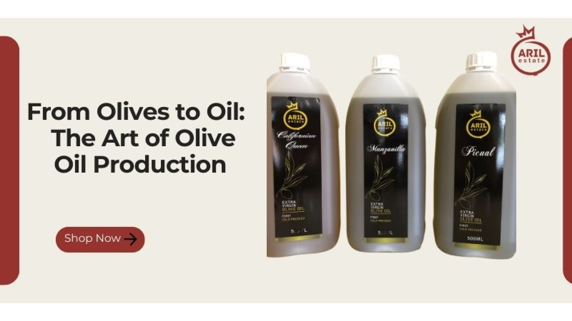 From Olives to Oil: The Art of Olive Oil Production